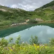 花　お値下げ交渉⭕️の画像