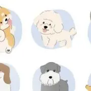 あおいの画像