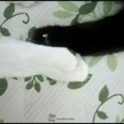 ☆Chat☆