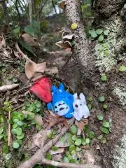 かまぼこの画像