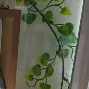カボス☆