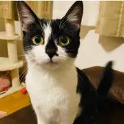 ぴさしまる