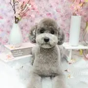 くりちゃん