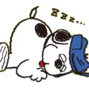 めい