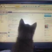 oの画像