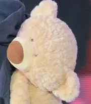 M プロフ必読の画像