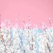 Yooの画像