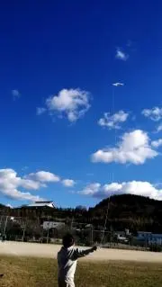 ミイの画像