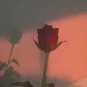 C⟡.·✮.*・゜の画像