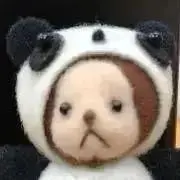 さるちゃんの画像