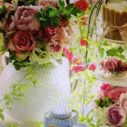Mimosaの画像