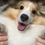 ゆうこの画像