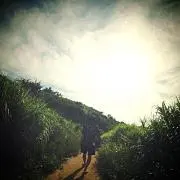 れおの画像