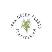 Tera green plantsの画像