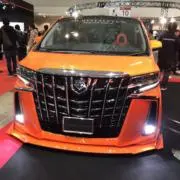 ニッサの画像
