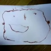 もも子の画像