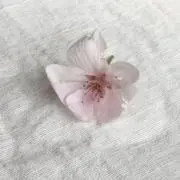 ♡