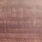 きよの画像