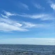 mの画像