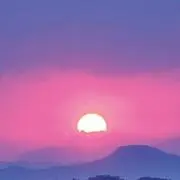 マロンの画像