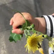 Mokomokoの画像