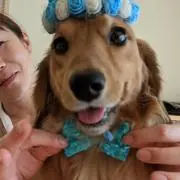 ポチ