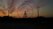 くちばし