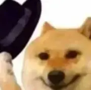 xinjie1217の画像