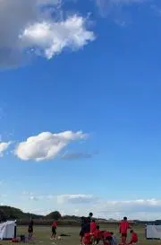 あゆの画像