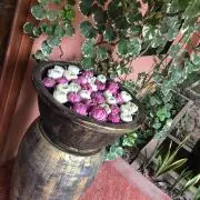 ショコマロ