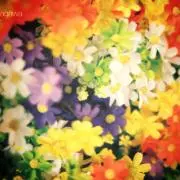 sho-chan❇︎プロフ必読の画像