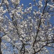 .....iの画像