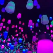Fuwaの画像