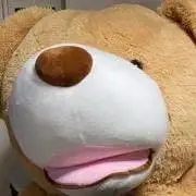 おま（引っ越し決まったので断捨離中）の画像