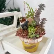 chの画像
