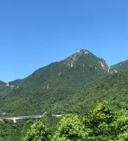 GOOD VALUE @24時間以内発送の画像