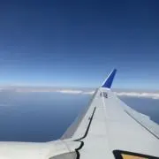 なんの画像