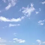 エース