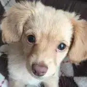 みん☻
