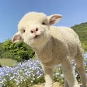 たなかの画像
