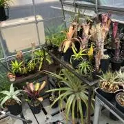 amの画像