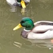 うみもん