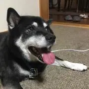 jettokosutaaa〜プロフ必読〜