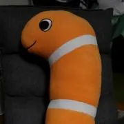 カジママの画像