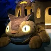 あきたの画像