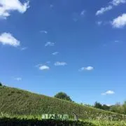 うららの画像