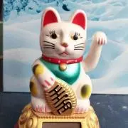 Chanhiroの画像