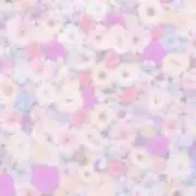 みー