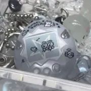 わらびの画像