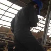 やましん